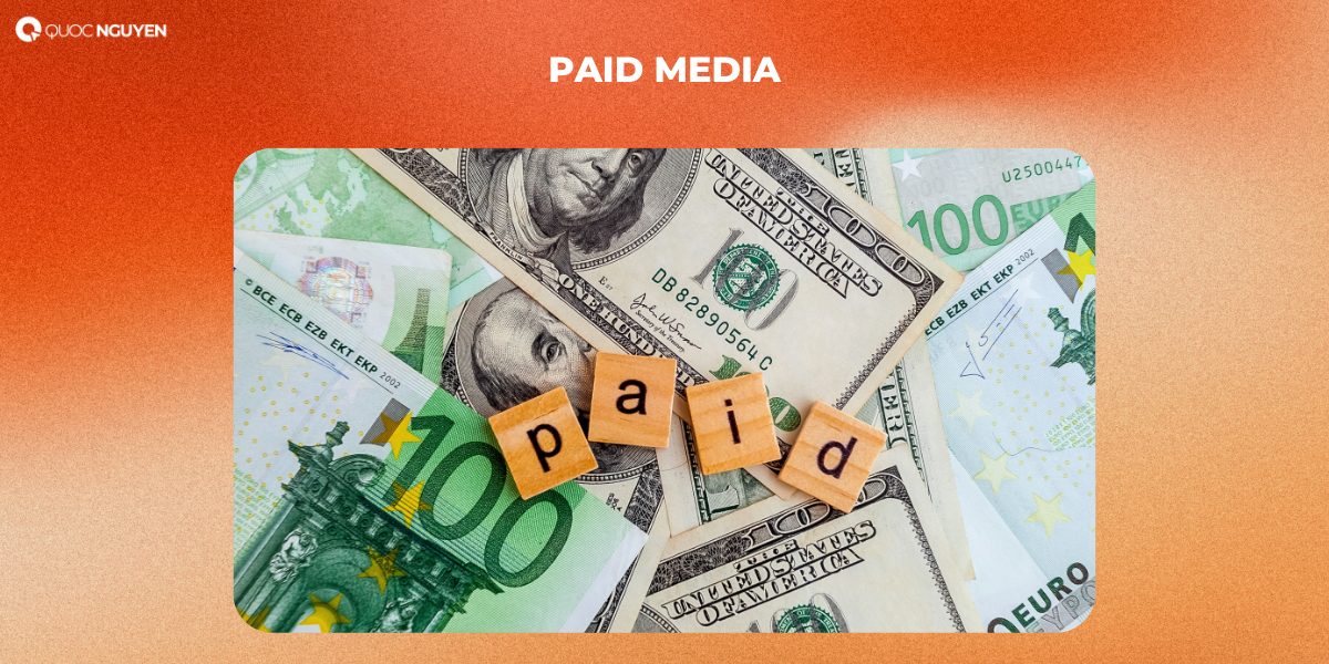 Paid Media (Kênh trả phí)