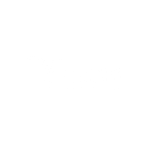 dai hoc thu dau mot logo