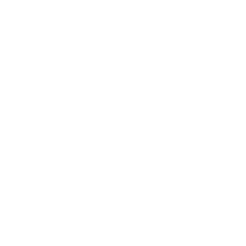 viet le logo